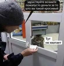 Холостякую и что заметил