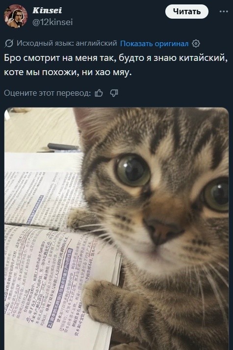 Так себе картинки 09.10.26