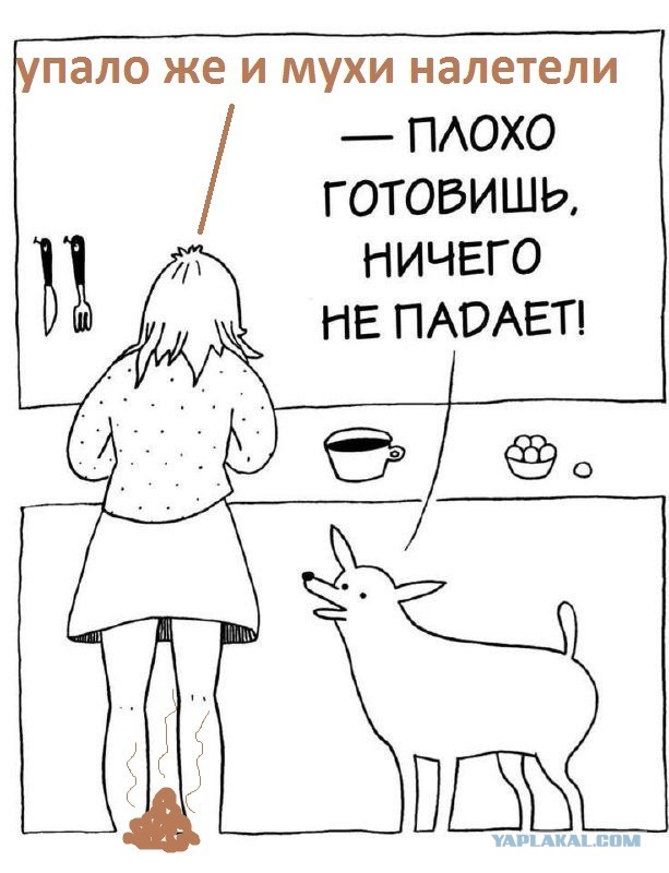 Плохая хозяйка