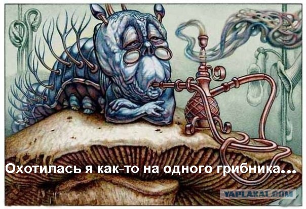 Что за ТВАРЬ?