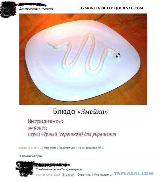 Смешные комментарии из социальных сетей