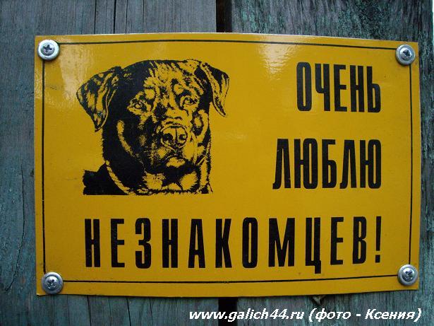 Оригинальное предупреждение на счет собаки