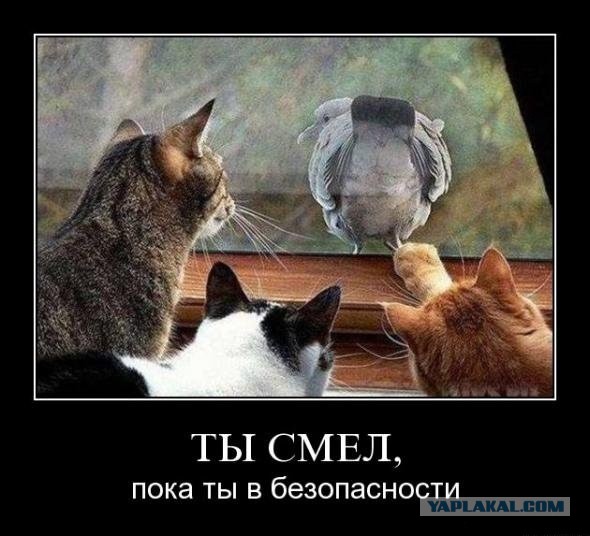 Фото, от которых у вас подогнутся колени