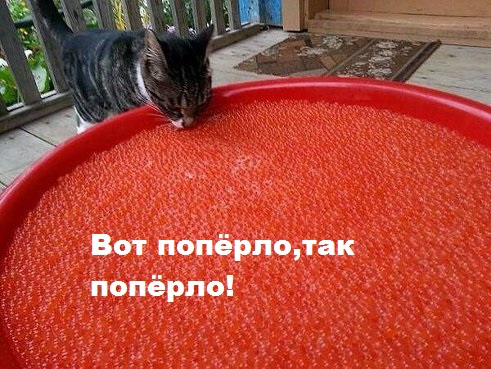 Сахалин на грани голода
