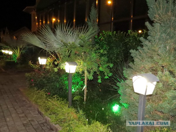 Нам повезло опоздать