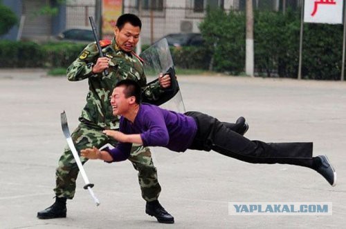 10 фотографий, сделанных "за секунду до..."