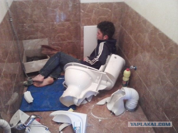 Ужасы и приколы из соцсетей 18+