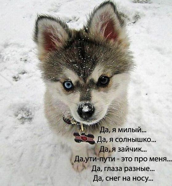 Смешные картинки, приколы, комментарии и прочее...