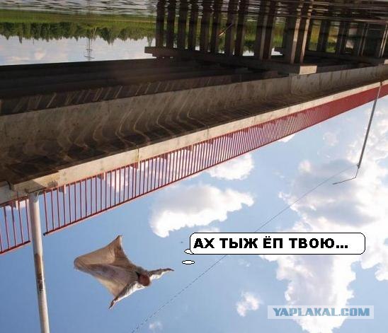 Прыжок в бездну