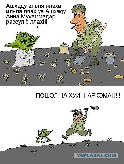 Алко-Нарко-Психо-Фармо и т.п. поборка