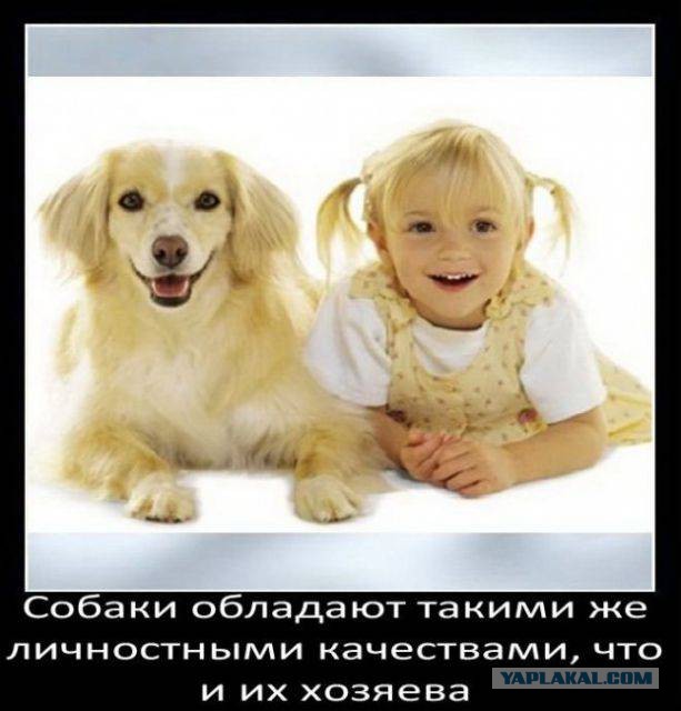 Пятничная подборка