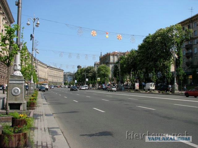 Когда деревья были большими