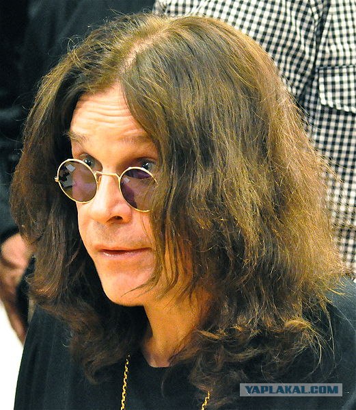 Знаменитости в эйфории.