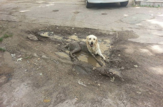 Погуляли