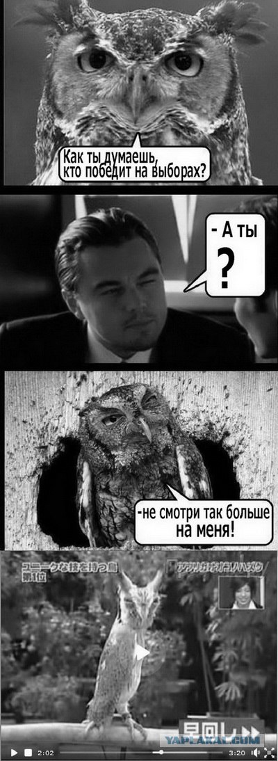 Митинги в Москве: Чистые Пруды и Триумфальная пл