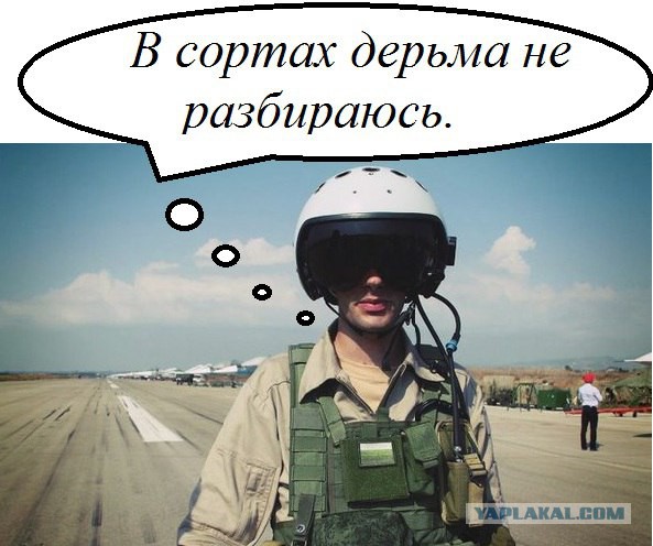 Сирия. Первые выводы