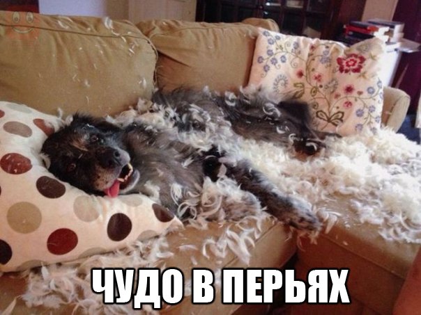 картинки на выходные