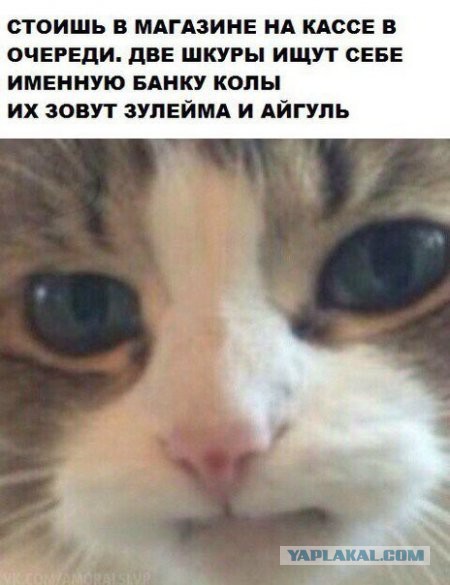 Картинки смешные и несмешные