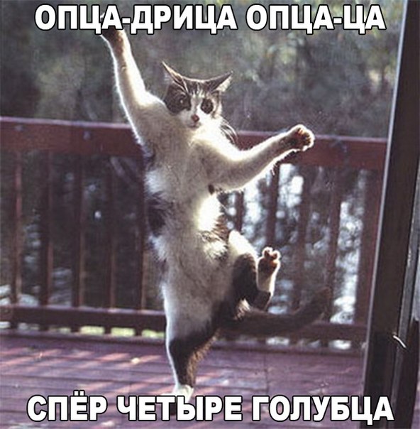 Немного картинок