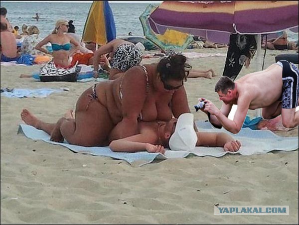 Жаба: Фотолюбитель
