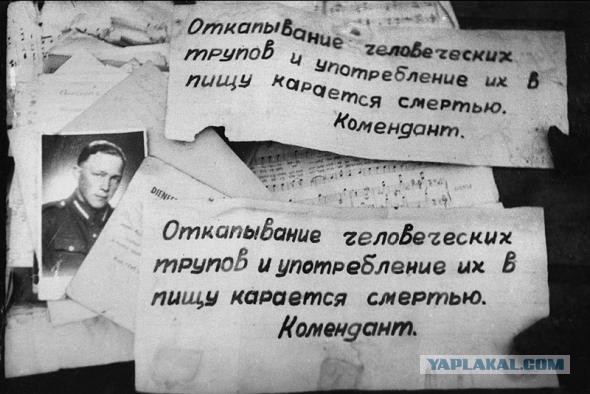Про гитлеровскую глупость.