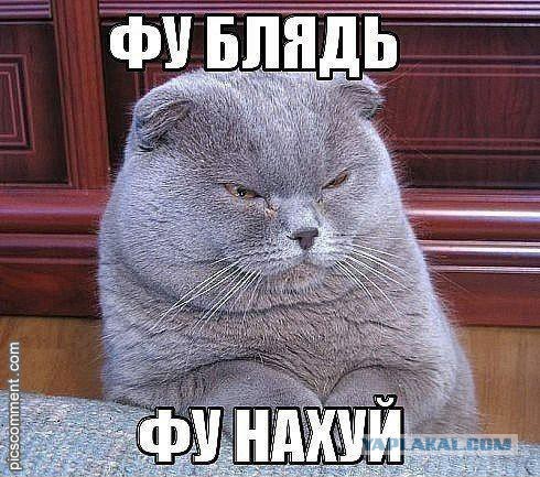 Зловещее существо вылезло из унитаза