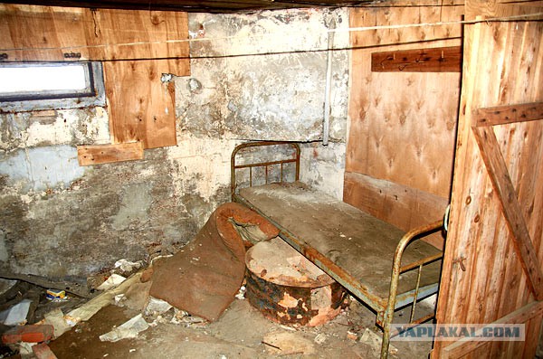 Истории штукатурки: cнимки ободранных стен превращают в картины