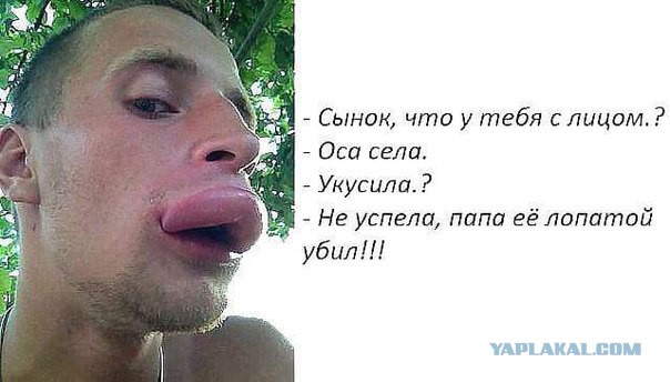 Смешные картинки