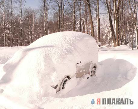 ЗИМА. Зимние картинки, отмороженная подборка