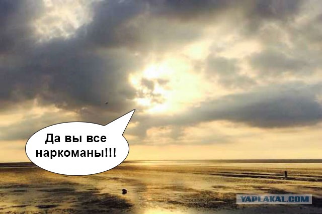 Случайно созданные шедевры
