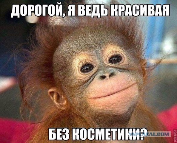 Мужчины боятся красоток и предпочитают обычных?