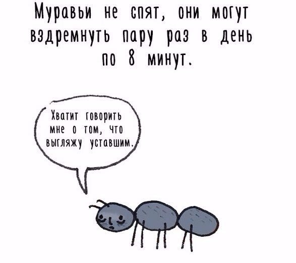 Подборка интересных и смешных картинок