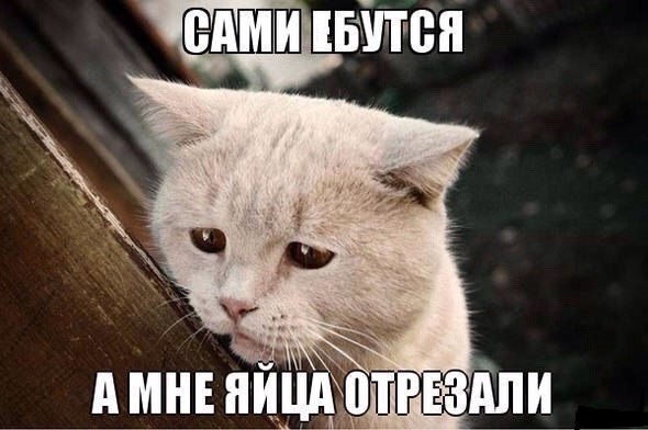 Скриншоты из социальных сетей