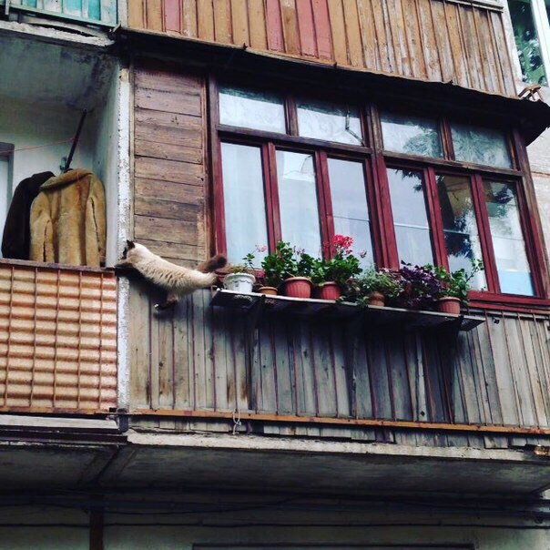 Подборка "тёплых, уютных, домашних" фотографий. Часть 9