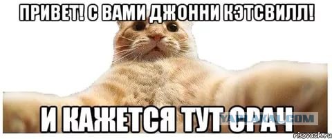 Догхантеры начали травить собак в Ижевске.