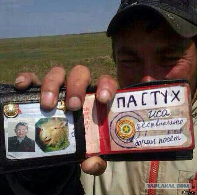 Зачетной силы ксива...