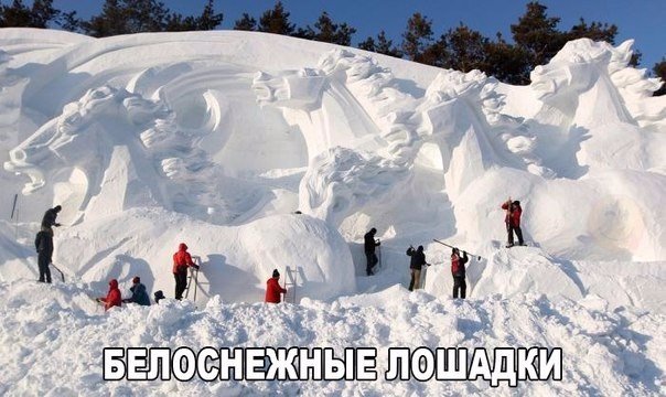 Весёлые картинки 07.12.16