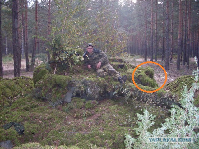 «Волки» в овечьей шкуре