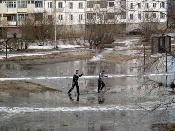Подборка безудержного веселья