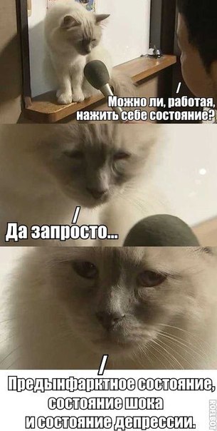 Подборка интересных и веселых картинок