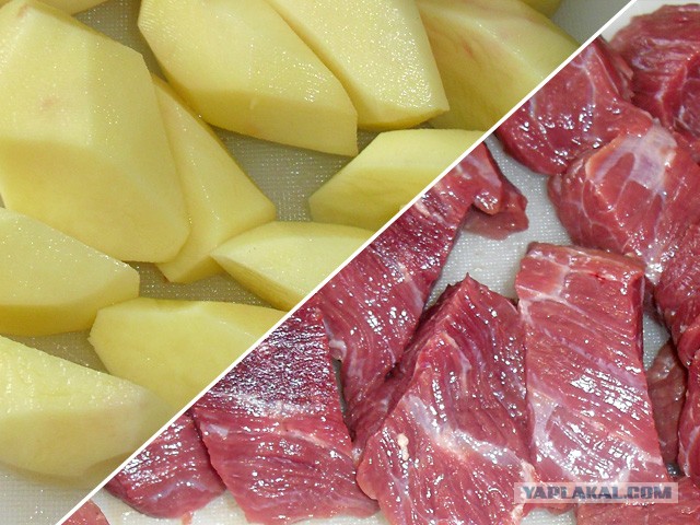 International одной книги., В память о Дженибеке.