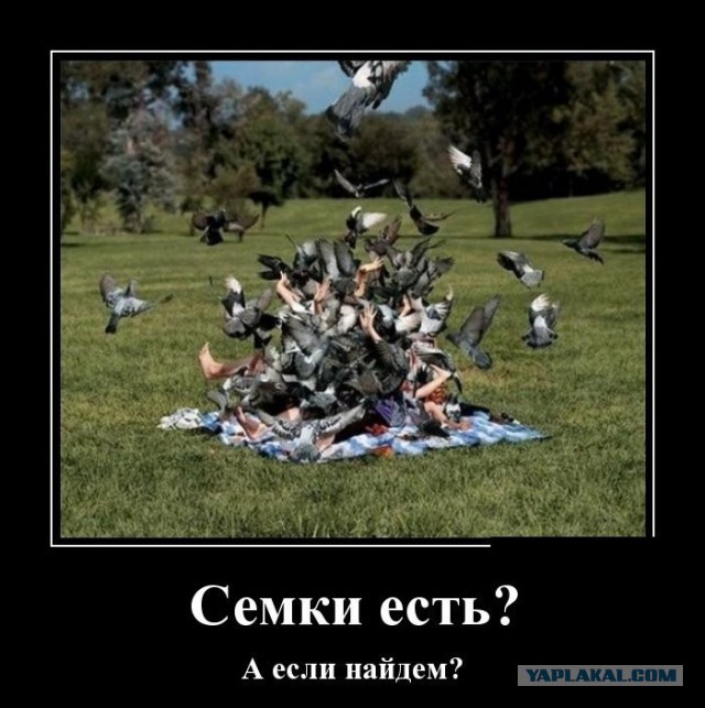 Смерть под скорлупой