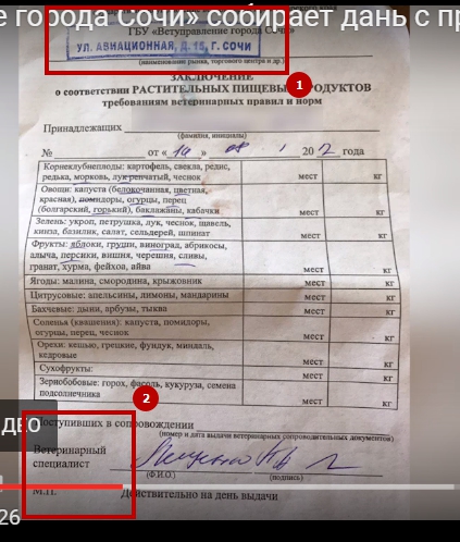 В Сочи ветеринар собирает дань без палева