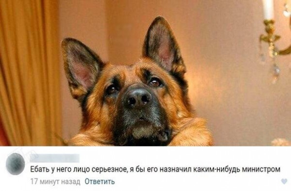 Нестандартный юмор