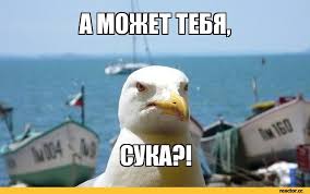 Я вовсе не меркантильная...