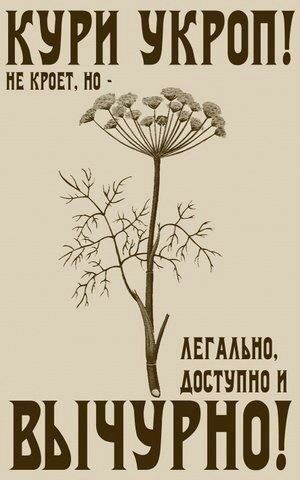 Субботние лубочные картинки обо всём