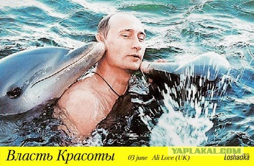 Кроноцкие токсикоманы