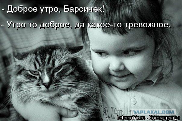 Старые жены. Что с ними делать?