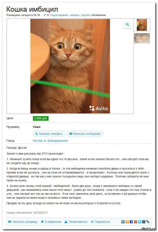 Интернет-объявления, к авторам которых возникает уйма вопросов