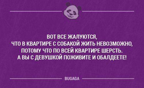 Чуток картинок! 11.08.19